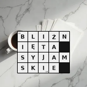 Rozwiązanie krzyżówki: osoby cierpiące na rzadką wadę rozwojową polegającą na występowaniu patologicznego połączenia między częściami ciała należącymi do bliźniąt jednojajowych - bliźnięta syjamskie | hasła, synonimy i podpowiedzi Hasło krzyżówkowe osoby cierpiące na rzadką wadę rozwojową polegającą na występowaniu patologicznego połączenia między częściami ciała należącymi do bliźniąt jednojajowych - bliźnięta syjamskie – rozwiązanie, synonimy, podpowiedzi i definicje krzyżówkowe